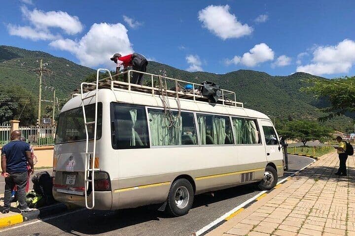 Safaris and Tours