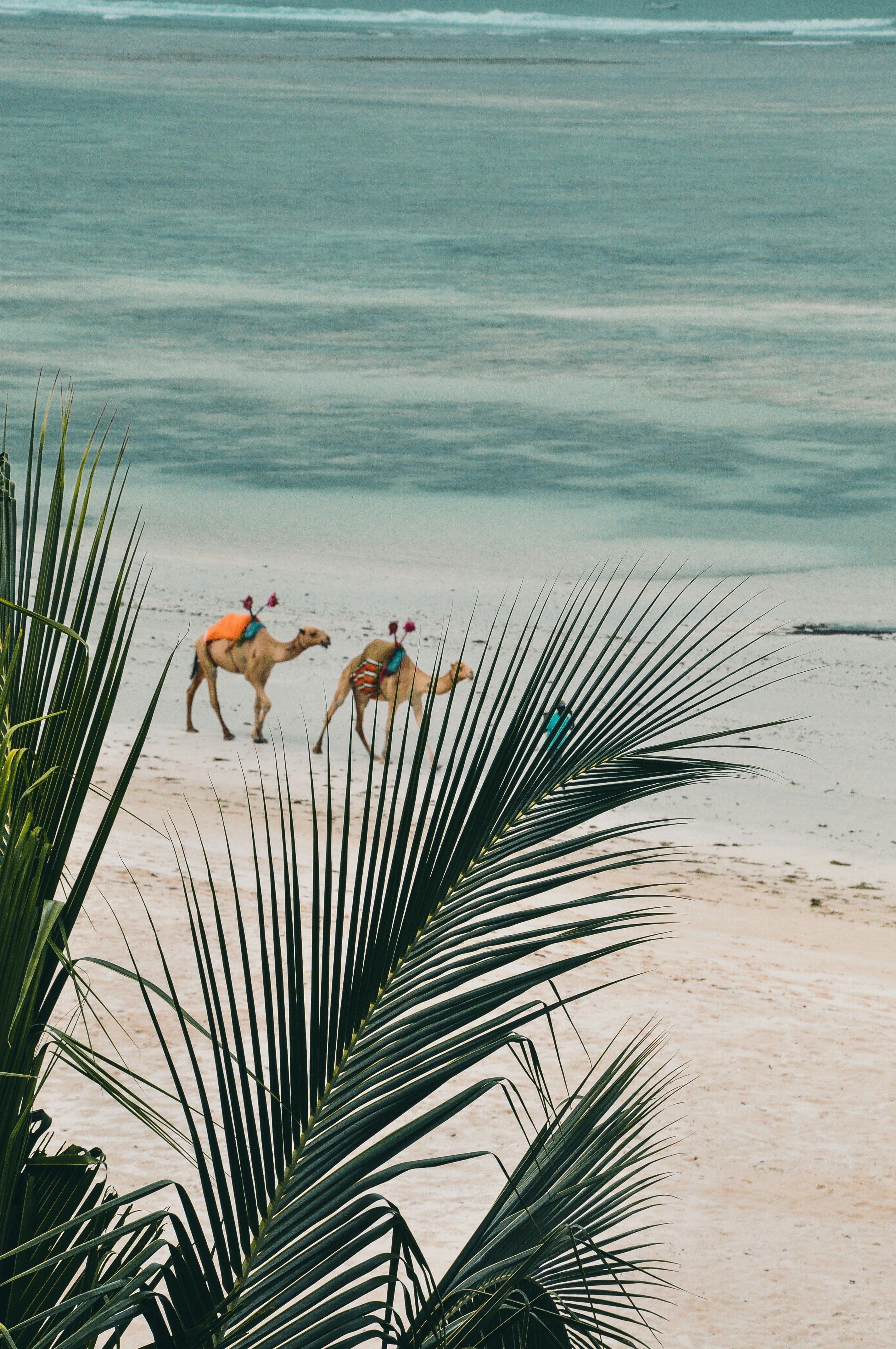 Mombasa