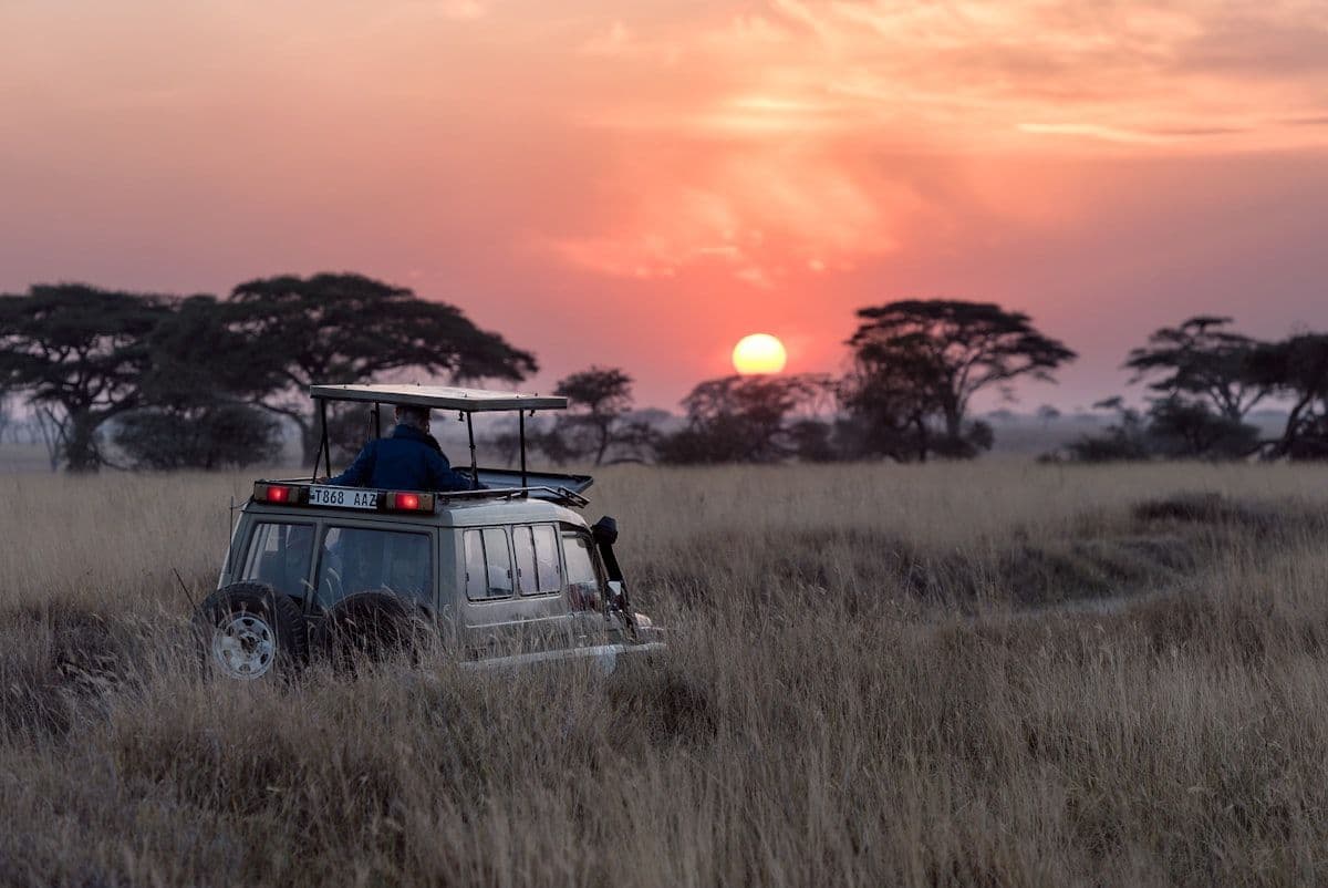 Safari image - safari-sunset